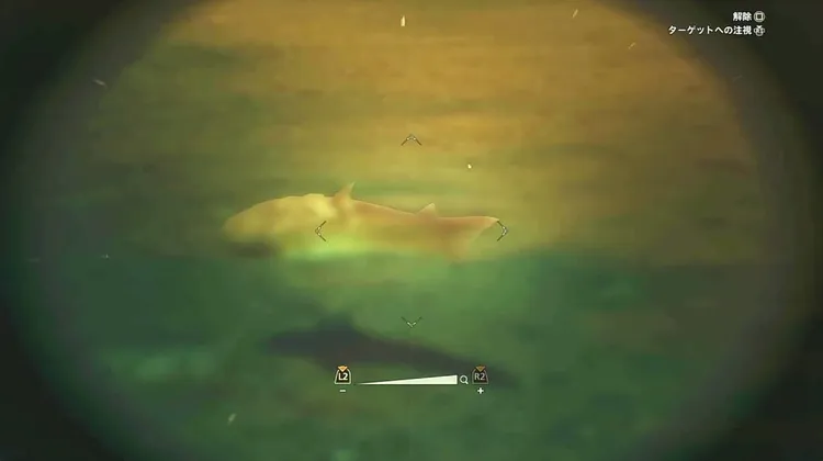 モンハンワイルズ_コモチアミア