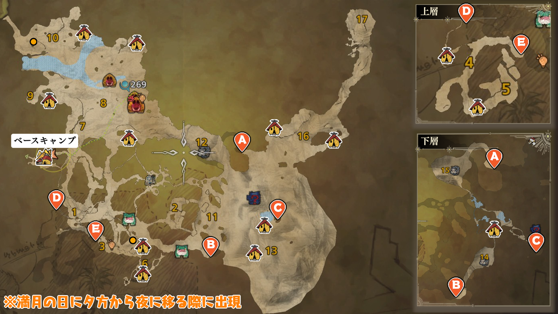 隔ての砂原_儚げな花