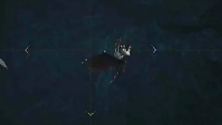 モンハンワイルズ_ウロコウモリ