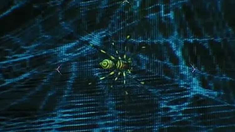 モンハンワイルズ_カスミジョロウ