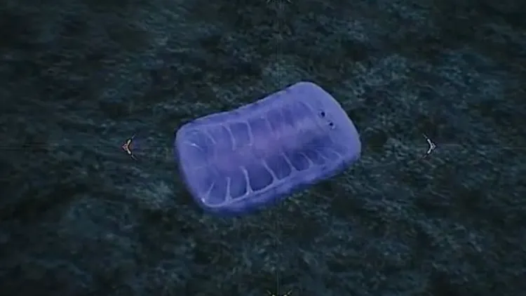 モンハンワイルズ_キョムトン