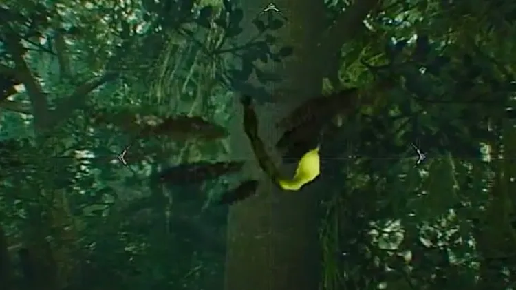 モンハンワイルズ_キザシヤンマ