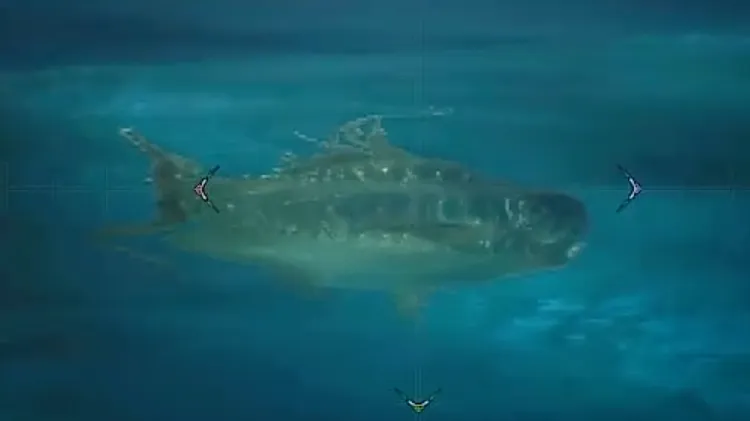 モンハンワイルズ_キレアジ