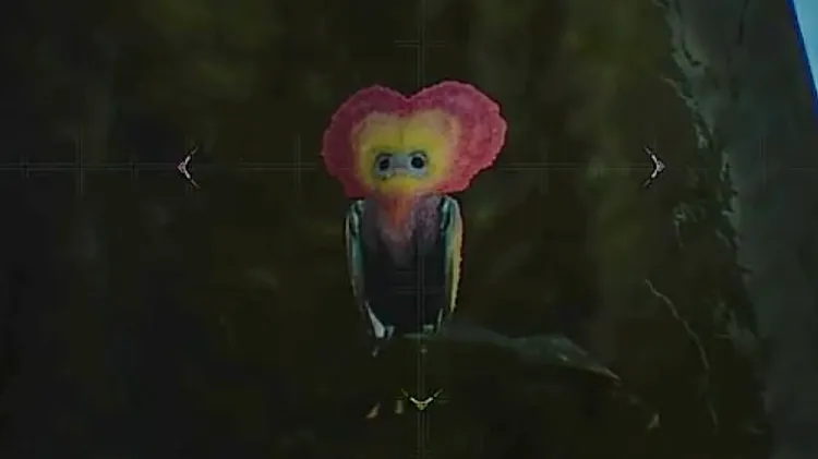 モンハンワイルズ_ケンランプテルス