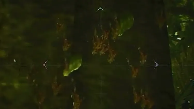 モンハンワイルズ_コノハコビアリ