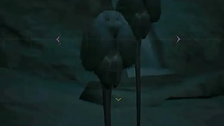 モンハンワイルズ_ジロジロ