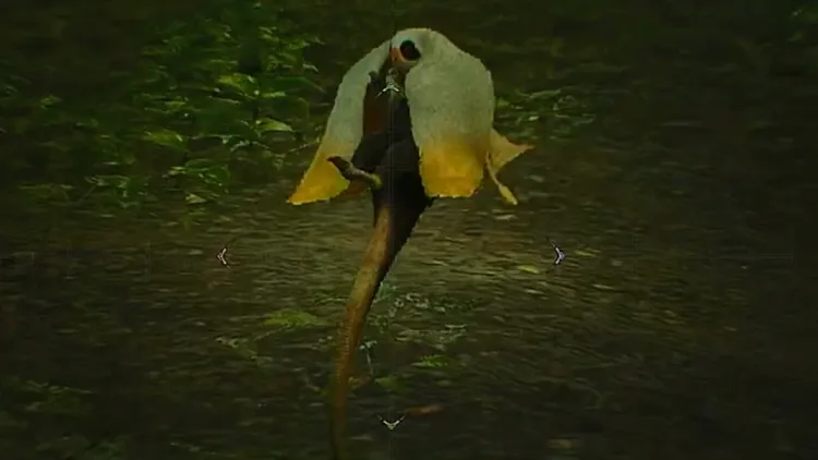 モンハンワイルズ_ハナショウジョウ