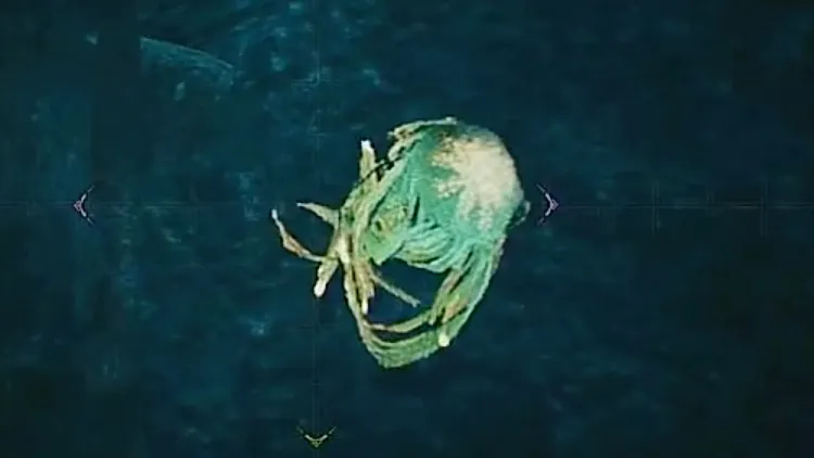 モンハンワイルズ_ハナミアゲ