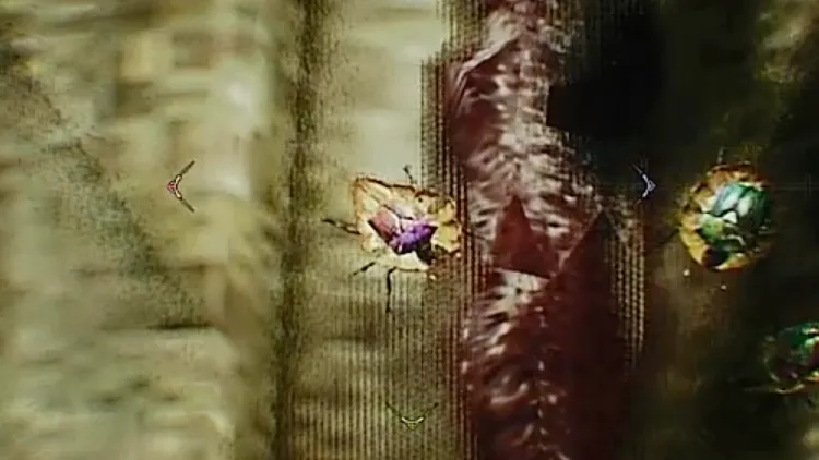 モンハンワイルズ_プレミアジュエルコガネ