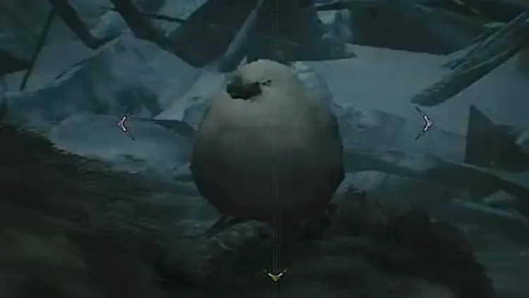 モンハンワイルズ_フワフワクイナ