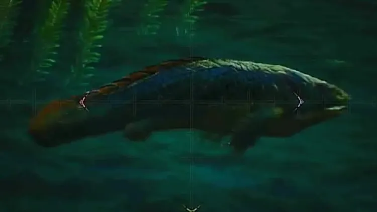 モンハンワイルズ_ヒミズキノボリウオ