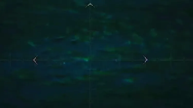 モンハンワイルズ_ホシクズイクチス