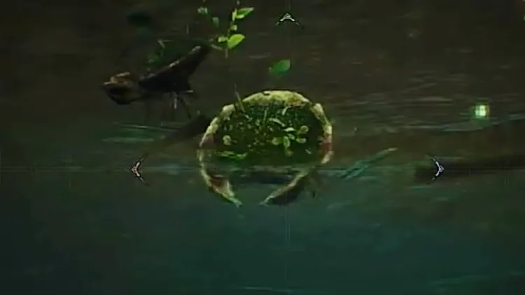 モンハンワイルズ_モリサカズキガニ