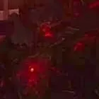 タイムストレンジャー_暴走タイタモン_アイコン