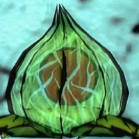 大神_ブロック_ホオズキ