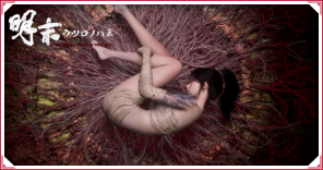 ウツロノハネ_評価・感想掲示板_バナー