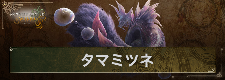 ワイルズ_タマミツネ_アイキャッチ