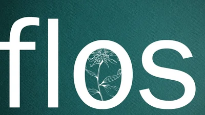 プロセカ_R sound designさん紹介1