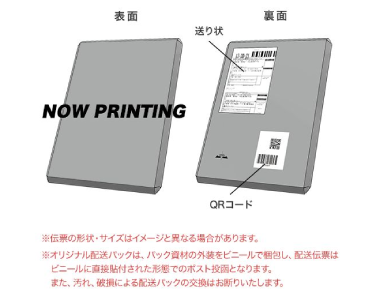 カービィのエアライダー_店舗特典