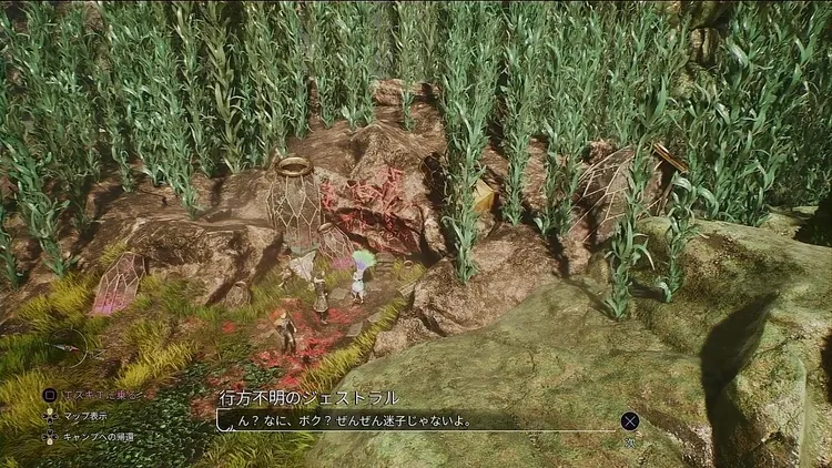 エクスペディション33_行方不明のジェストラル