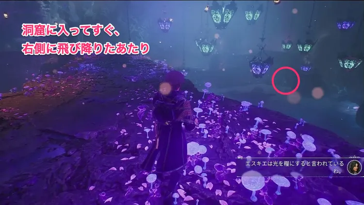 エクスペディション33_5エスキエの隠れ家-2