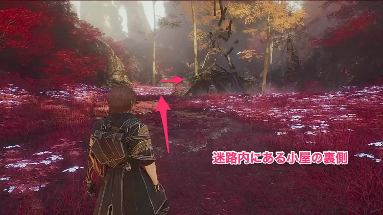 エクスペディション33_4いにしえの聖域-2