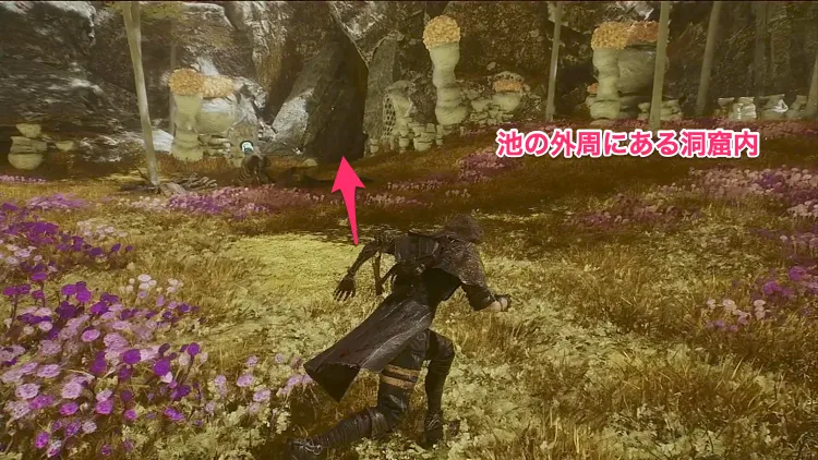 エクスペディション33_6黄の収穫-2