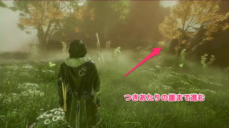 エクスペディション33_9ヴィサージュ-2