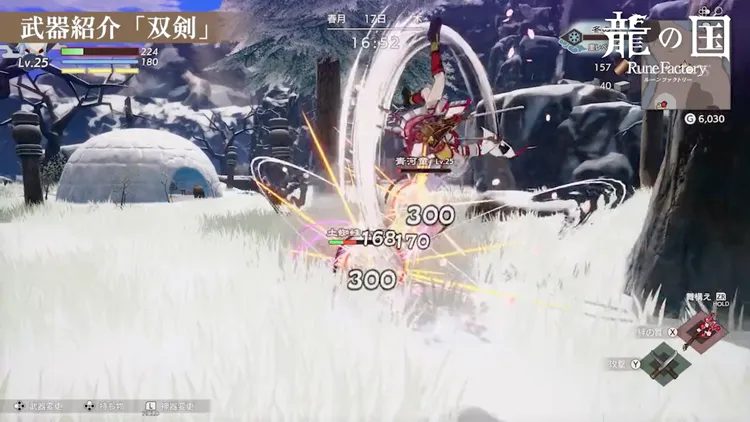 龍の国_双剣