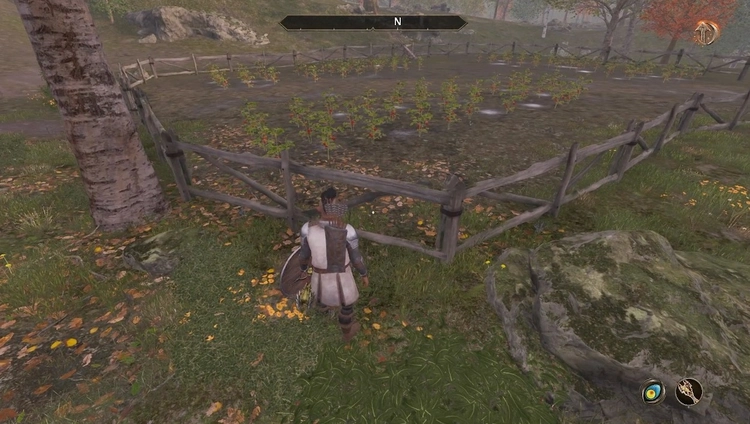 オブリビオン_トマト農場_周辺