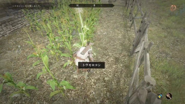 オブリビオン_畑荒らし