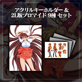 スチーム・ハーツ＆ヴァリアブル・ジオ_amiami