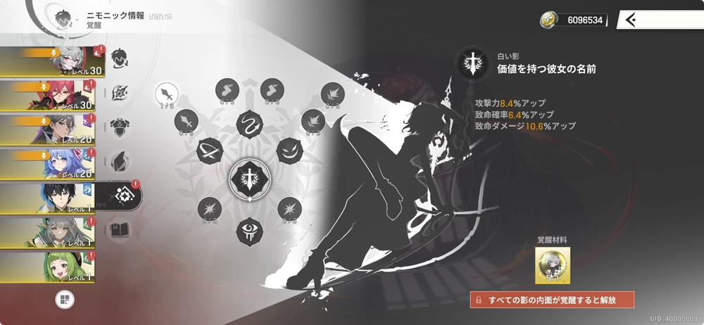 白い影_リメメント