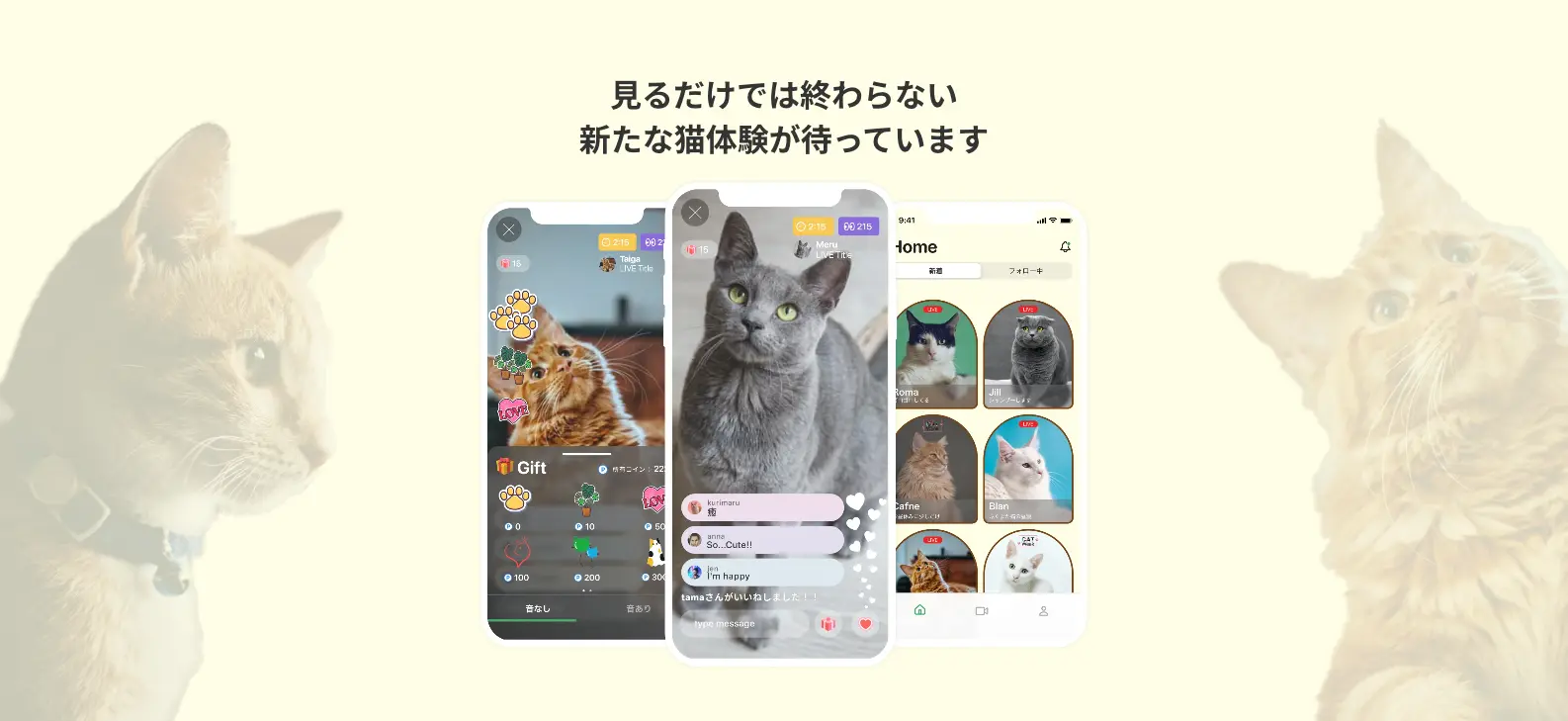 ライブ配信アプリ_nekochan