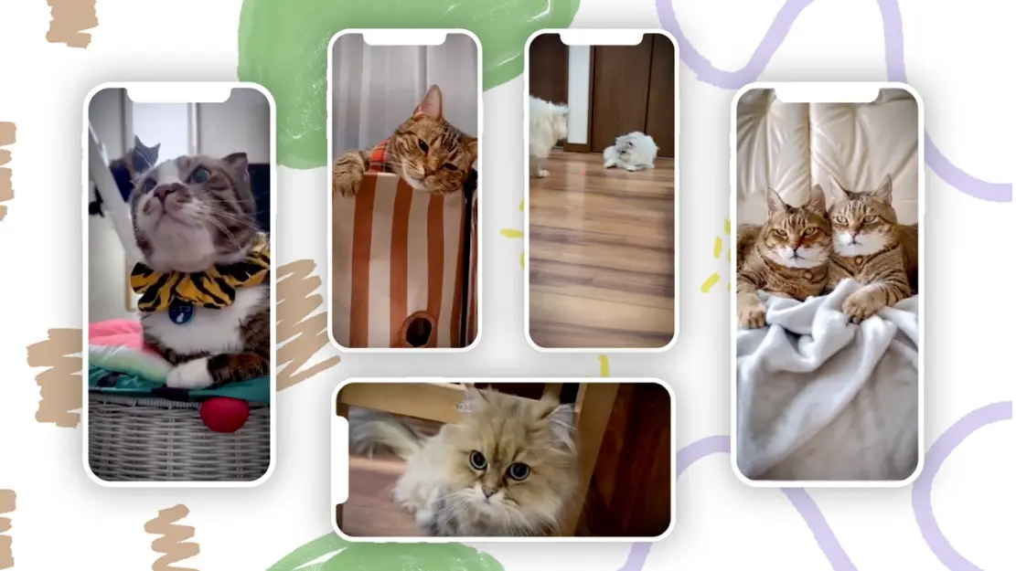 ライブ配信アプリ_nekochanおすすめポイント1