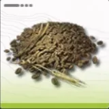 エンドフィールド_灰麦の種_アイコン