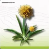 毛羽錦草_アイコン