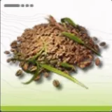 金石稲の種_アイコン