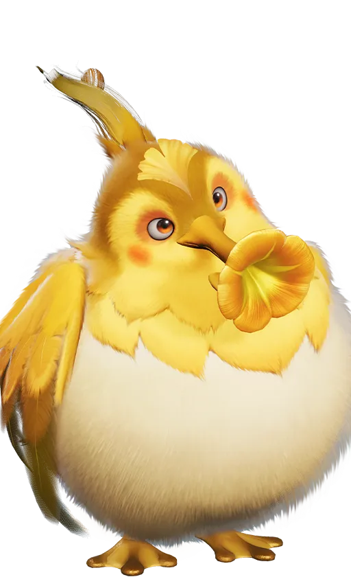 ウルフィ基本