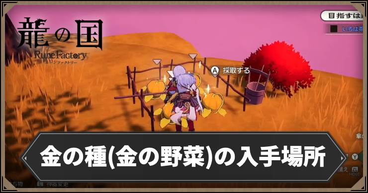 龍の国_金の種の入手場所