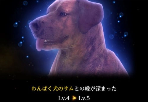 耐性系は評価が低い_縁最強ランキング_ダフネ