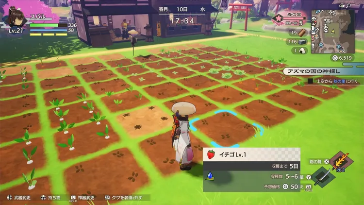 龍の国_里レベル_畑