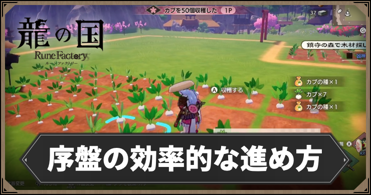 龍の国_序盤の効率的な進め方
