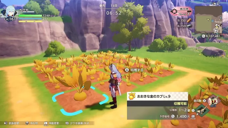 龍の国_巨大金野菜_畑