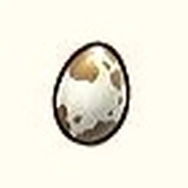 龍の国ルーンファクトリー_卵_アイコン