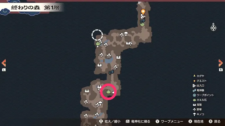 龍の国ルーンファクトリー_カエル石_196