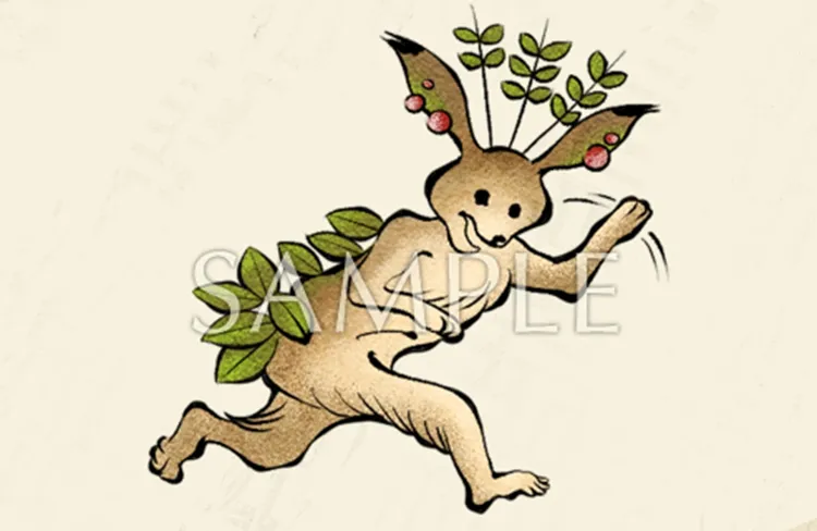 WILD HEARTS S_お宝創庫