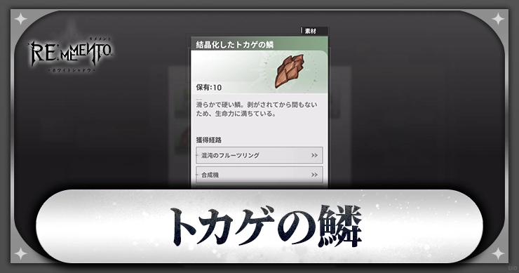 リメメント_トカゲの鱗_アイキャッチ