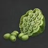 ウツロノハネ_蓮の実(緑)_アイコン