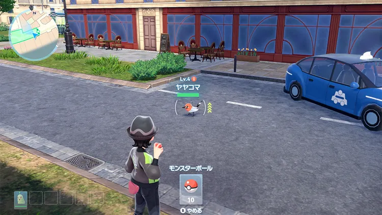 ポケモンZA_ワイルドゾーン_野生ポケモン_モンスターボール